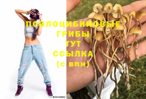 дживик Балабаново
