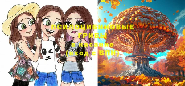 мдпв Баксан