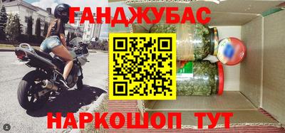 крисы Бийск